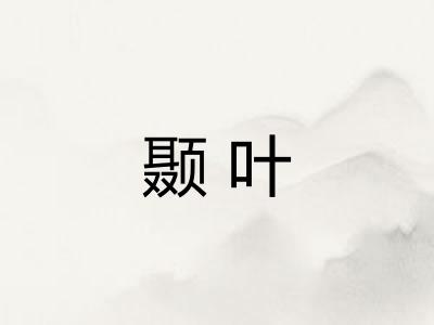 颞叶