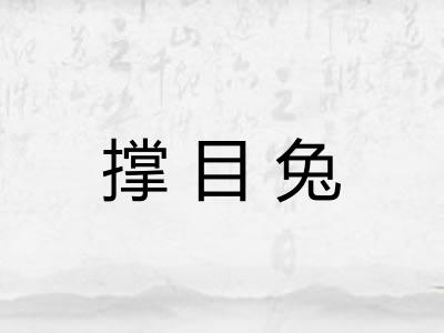 撑目兔