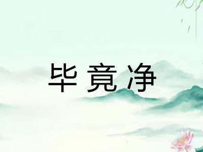 毕竟净
