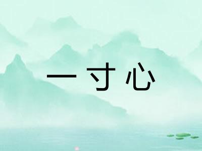一寸心