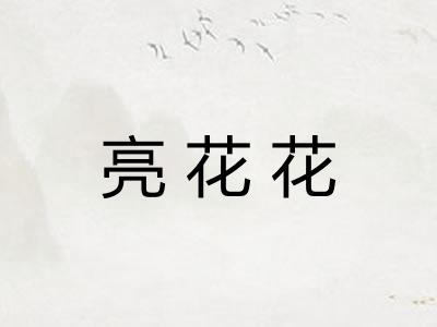 亮花花