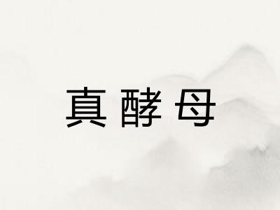 真酵母