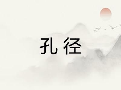 孔径