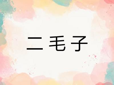 二毛子