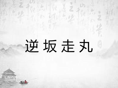 逆坂走丸