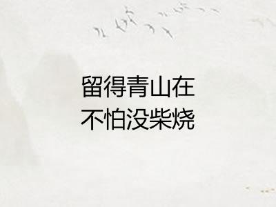 留得青山在不怕没柴烧