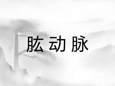肱动脉