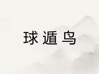 球遁鸟