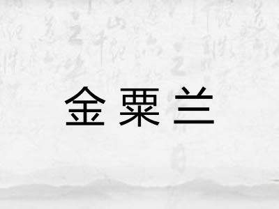 金粟兰