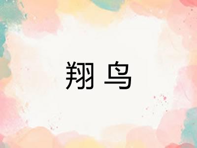 翔鸟