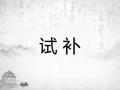 试补