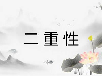 二重性