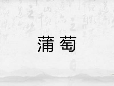 蒲萄