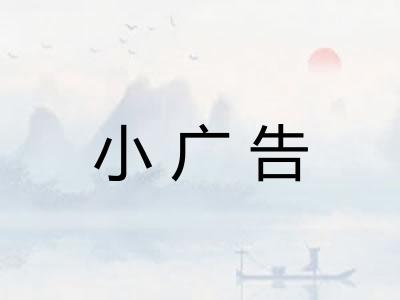 小广告