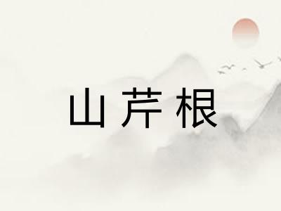 山芹根