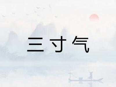 三寸气