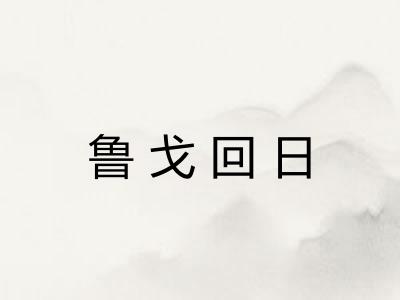 鲁戈回日