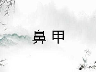 鼻甲