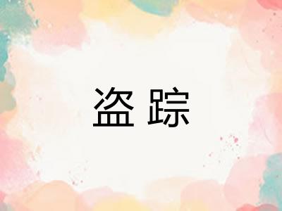 盗踪