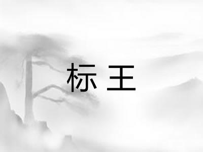 标王