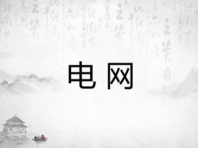 电网