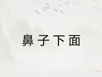 鼻子下面