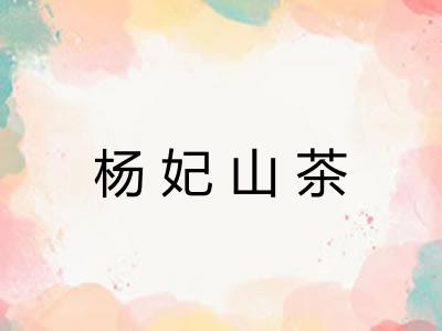 杨妃山茶
