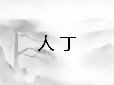 人丁