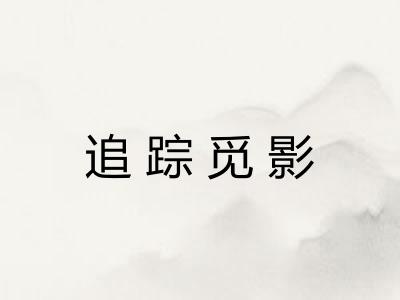追踪觅影