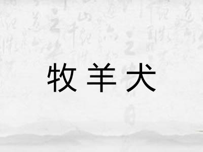 牧羊犬