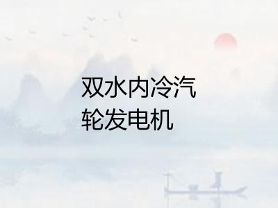 双水内冷汽轮发电机