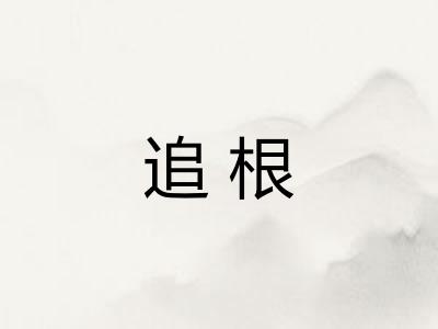 追根