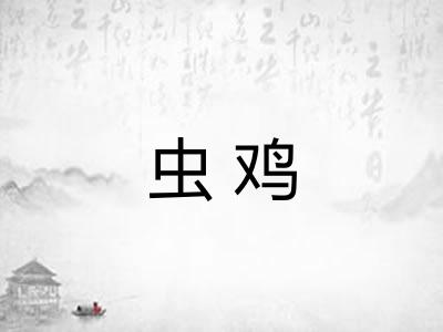 虫鸡