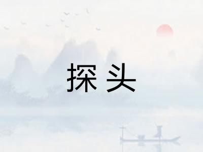 探头