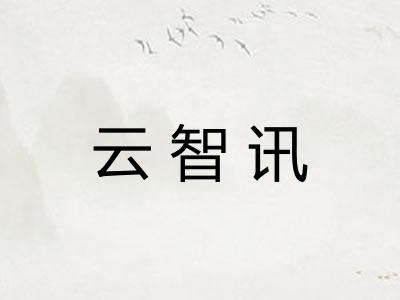 云智讯