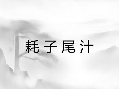耗子尾汁