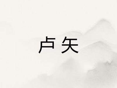 卢矢