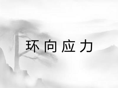 环向应力