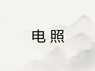 电照