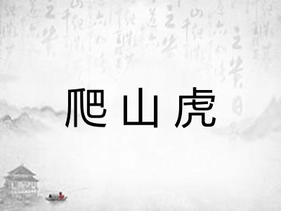 爬山虎