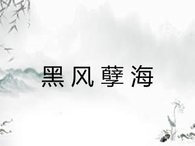 黑风孽海