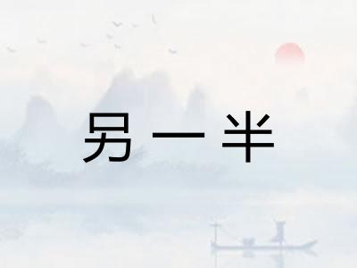 另一半
