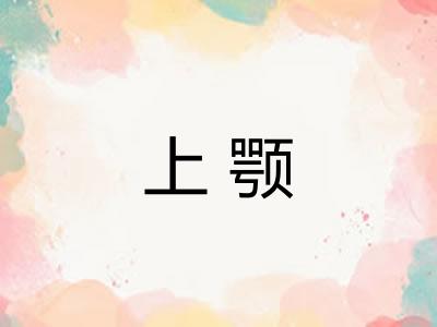 上颚