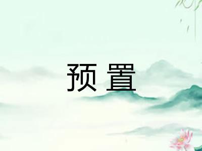 预置