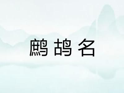 鹧鸪名