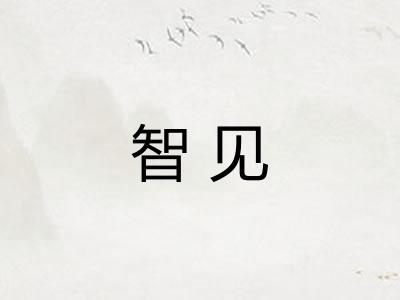 智见