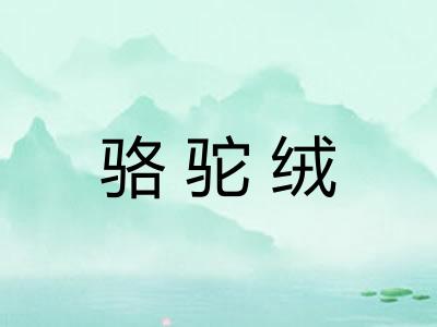 骆驼绒