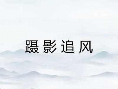 蹑影追风