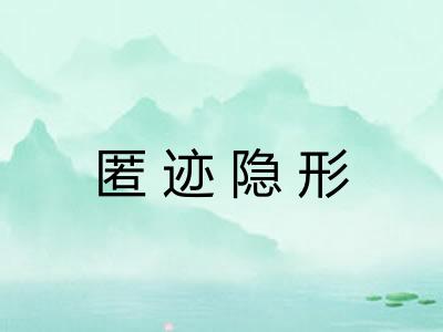 匿迹隐形