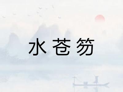 水苍笏